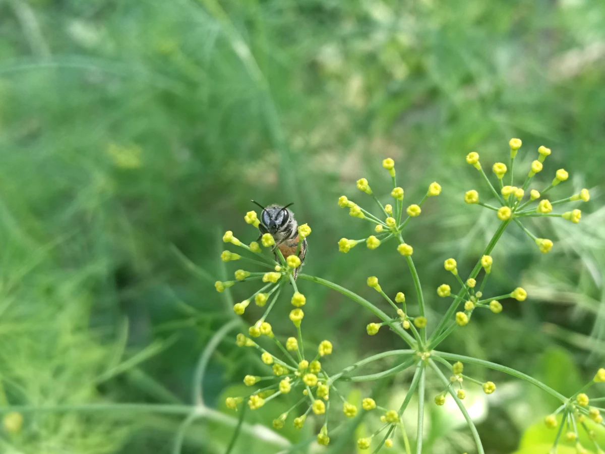 전체 글